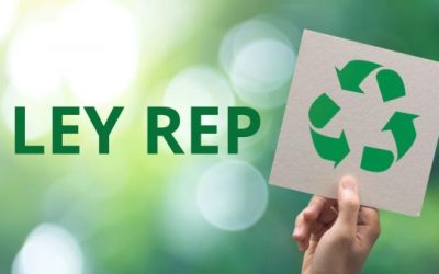 La Ley REP Entra en su Fase Avanzada y las Empresas se Adaptan a Nuevas Normativas