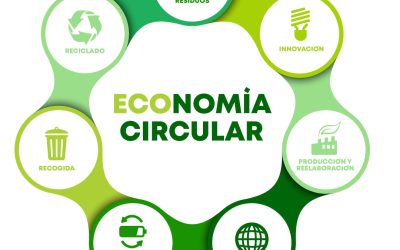 Chile Impulsa una Red Nacional de Reciclaje con Infraestructura Moderna